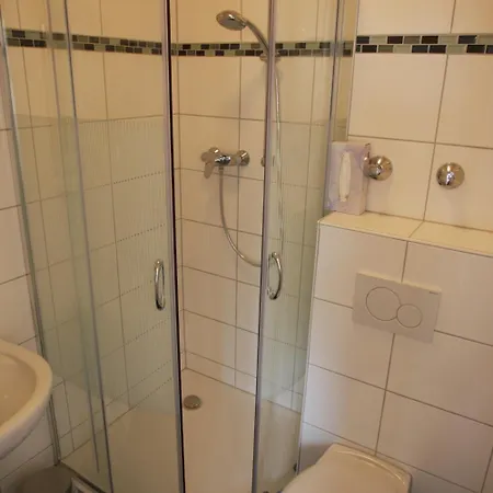 Gemini Self Check-in 3*